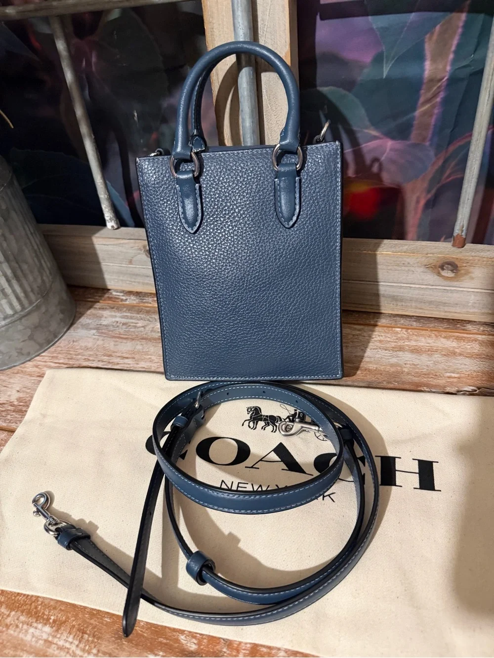 Coach North South Mini Tote